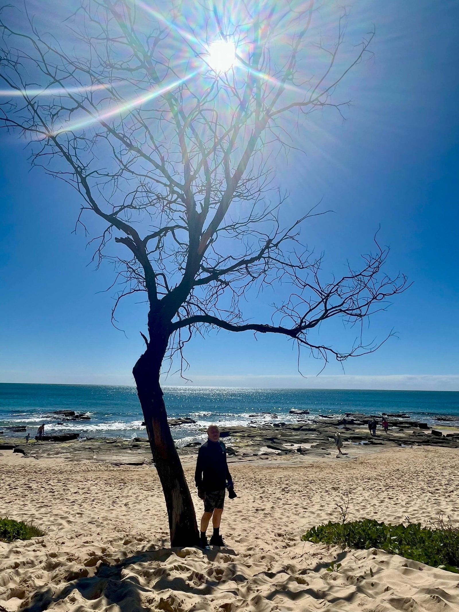 David the Psychologist standing in the shade of a bare tree on a sunlit beach, facing the ocean under a radiant sky.