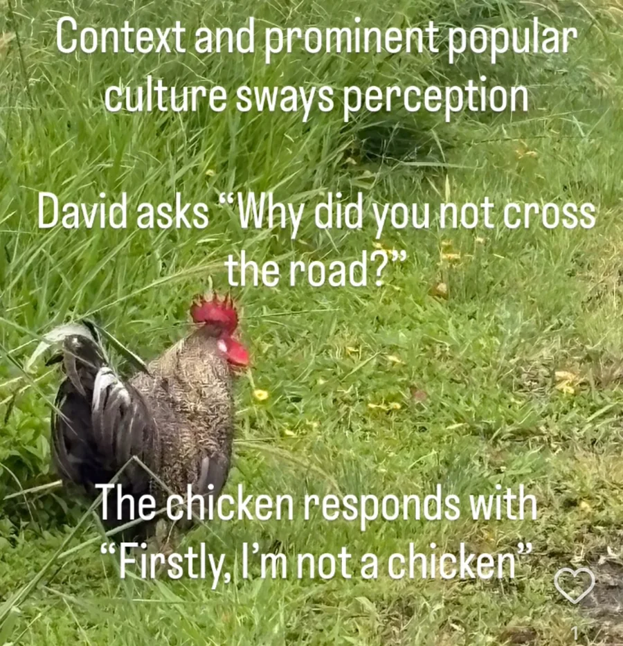 Rooster in long grass with humorous text illustrating how context and culture can influence perception