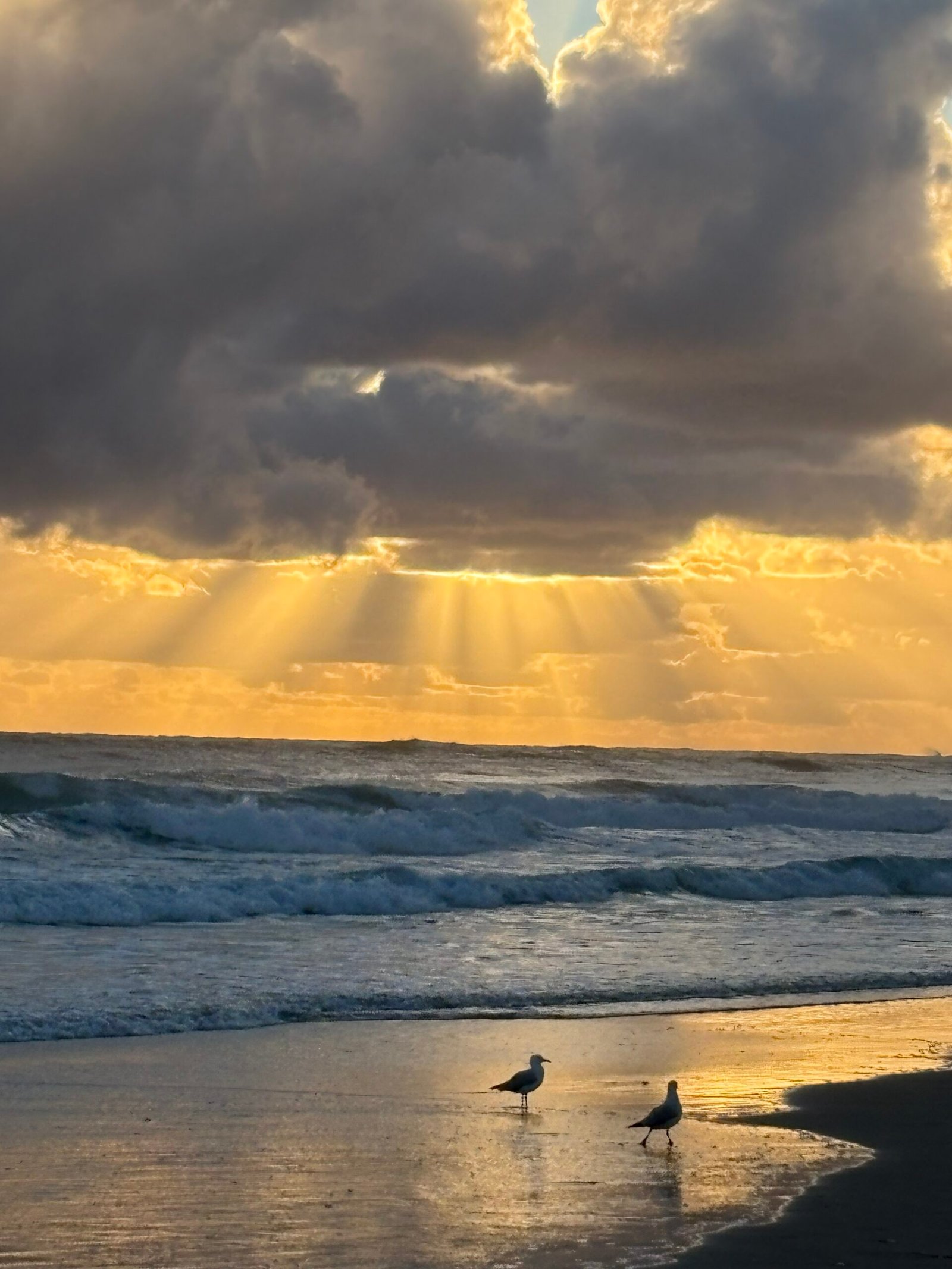 Sunlight breaking through dark clouds over ocean waves at sunrise with two birds standing on wet sand, symbolising balance and hope.