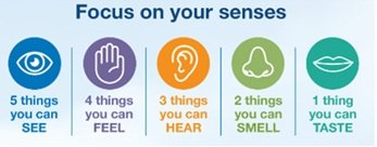 Visual guide to the 5-4-3-2-1 senses grounding technique showing five things you can see, four things you can feel, three things you can hear, two things you can smell, and one thing you can taste