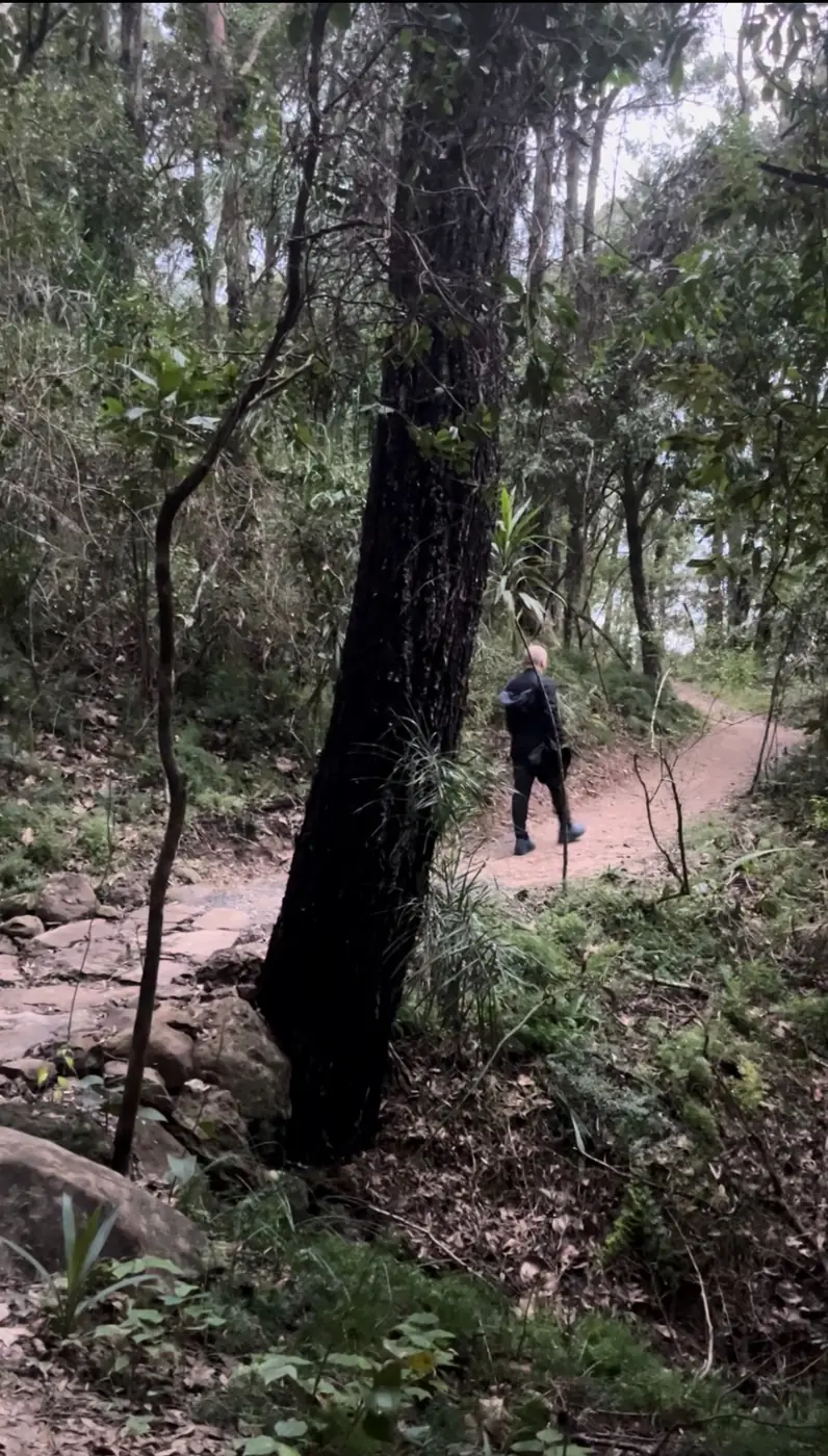 Person walking along a forest track surrounded by trees